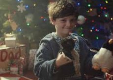 Школьник исполнил мечту тоскующего пингвина