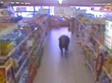 Бык устроил догонялки в супермаркете