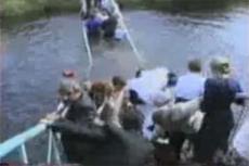 Под новобрачными обрушился пешеходный мост