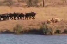 Лучшая съемка в стиле "вы очевидец" на YouTube по версии Video Awards 2007