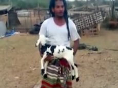 В Саудовской Аравии родился ягненок с надписью «Мухаммад»