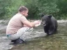 Житель Сахалина покормил с руки дикого медведя и остался цел