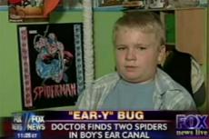 Врачи извлекли из уха маленького пациента … двух пауков