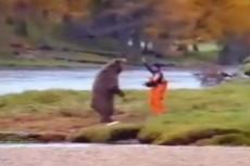 Самой смешной видеорекламой всех времен признан ролик с дракой медведя и рыбака