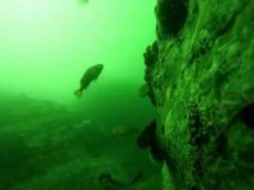 Серфер опубликовал видео с пролежавшей год в море GoPro