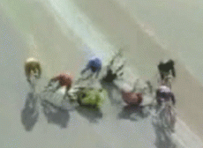 Японские велосипедисты столкнулись на треке