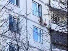 Выпавшая в окно пенсионерка спаслась, зацепившись за карниз