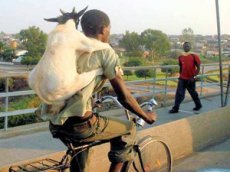 Козёл-велосипедист насмешил туристов