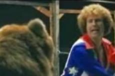 Гризли из комедии "Полупрофи" задрал своего дрессировщика