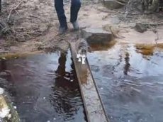 Кошачья переправа