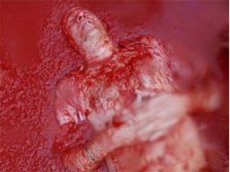 Томатная война в Колумбии