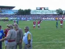 Пчелы остановили матч бывшей команды Веллитона