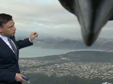 «Гигантская» ворона стала участницей телевыпуска прогноза погоды