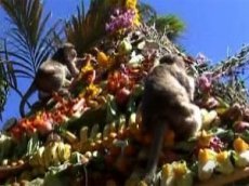 В Тайланде прошел Праздник обезьян