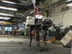 BigDog научился бросать шлакобетонные блоки