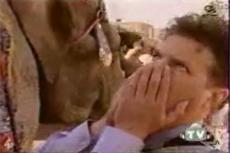 Слон отомстил человеку, который обидел его в детстве