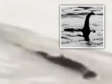18-метровое «водяное чудовище» сняли на видео в Китае