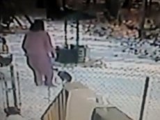 Свирепая кошка стала новым героем YouTube