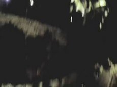 Чайка украла видеокамеру и сняла видео своего полета над Каннами