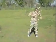 Атака бабочек