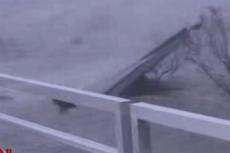 Ураган Густав: Новый Орлеан снова пришлось эвакуировать