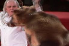 Цирковой медведь набросился на дрессировщика