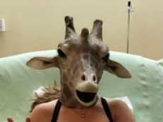 Беременная женщина в маске жирафа собрала миллионы лайков