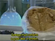 Mitsuyuki Ikeda создал технологию производства  мяса из … фекалий!