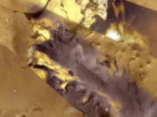 Золотые поля Марса