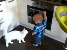 Кот спас ребенка от духовки