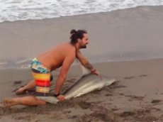 Американец издевался над акулой ради селфи