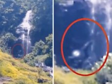 Гигантское чудище, перешагнувшее реку, сняли на видео в лесах Индонезии