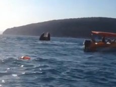 Спасение пассажиров катамарана, перевернувшегося в Черном море, сняли на видео