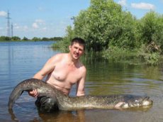 Рыбаки поймали на Припяти двухметрового сома