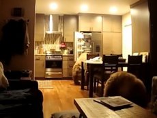Медвежата, решившие перекусить в чужом доме, попали на видео