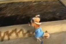 Пес-оригинал принес своему хозяину 100.000$