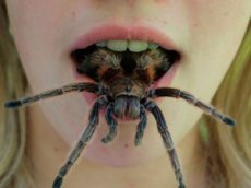 Тошнотворное видео американки шокировало YouTube