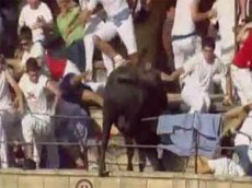 Бык вырвался с арены на трибуны и ранил зрителей