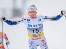 Шведская болельщица стала интернет-звездой