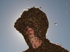 Американец Норман Гэри научился управлять пчелами