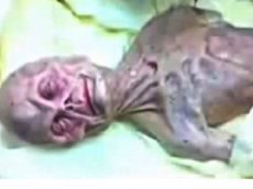 В Москве вскрыли пришельца