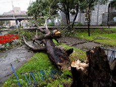 Тайфун «Болавен» во Владивостоке