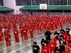 "Gangnam Style" в исполнении зэков в филиппинской тюрьме