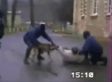 Полицейские собаки идут с молотка