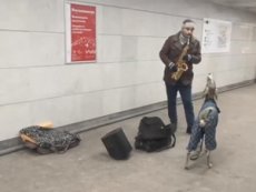 В московском метро собака исполнила хит Джеймса Брауна