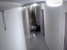 Призрак напал на человека!