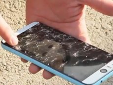 Смартфон выдержал "наступление" слона