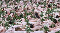 Голая массовка Спенсера Туника. "Живая клумба"