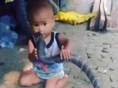 Интернет-пользователи шокированы роликом с младенцем, играющим со змеей под смех взрослых