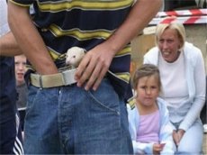 Ferret Legging — парный вид спорта с … хорьком!